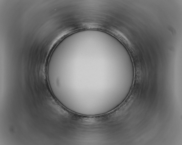 X0000113371182200910061054