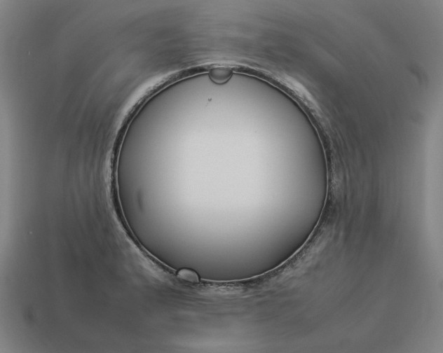 X0000113371183200910061054