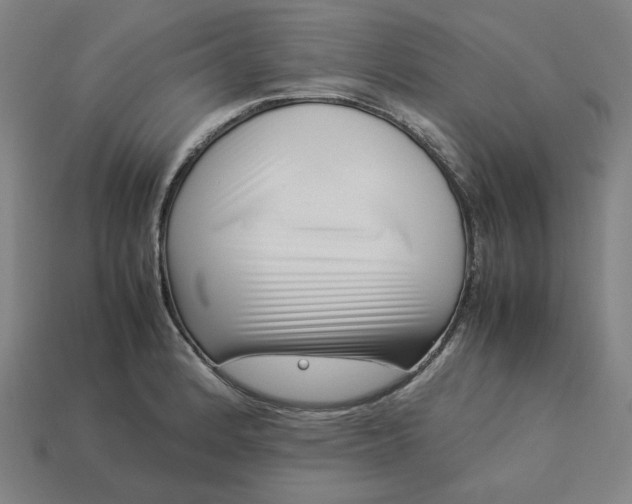 X0000113371184200910061054