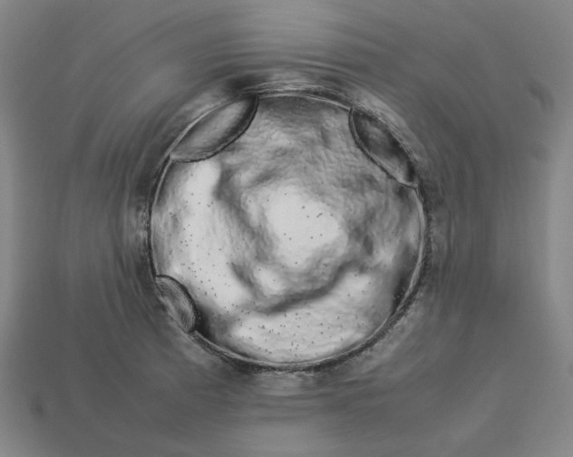 X0000113371185200910061054