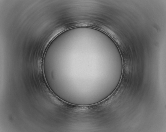 X0000113371186200910061054