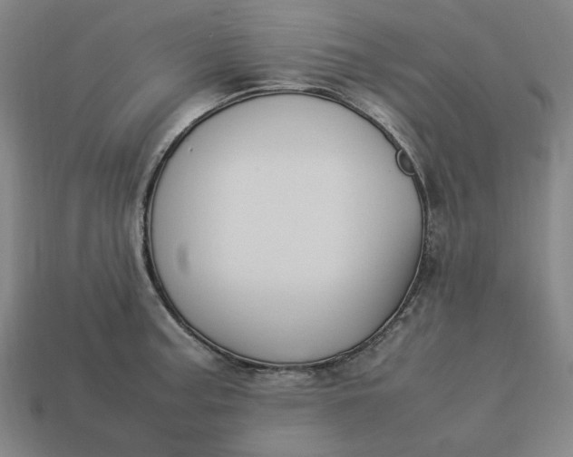 X0000113371187200910061054