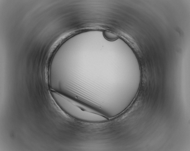 X0000113371188200910061054