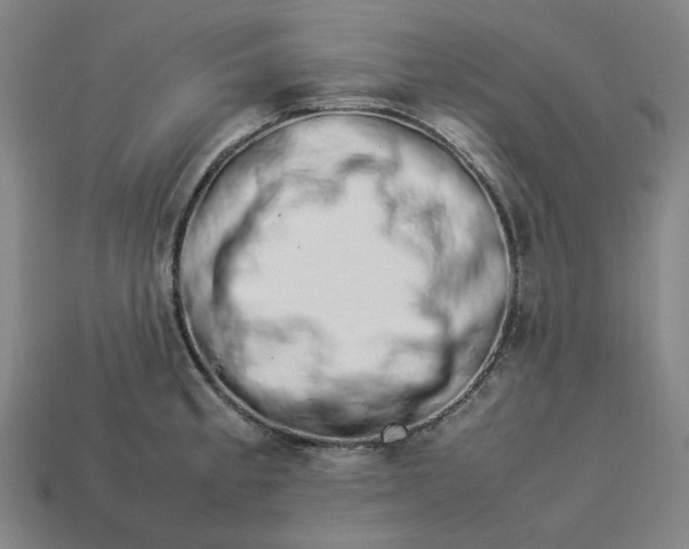 X0000113371189200910061054