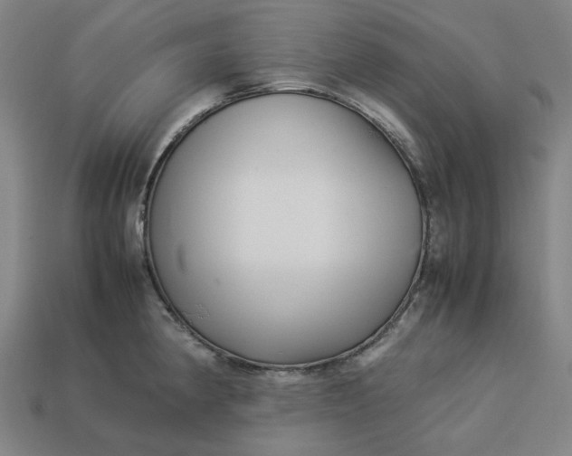 X0000113371190200910061054