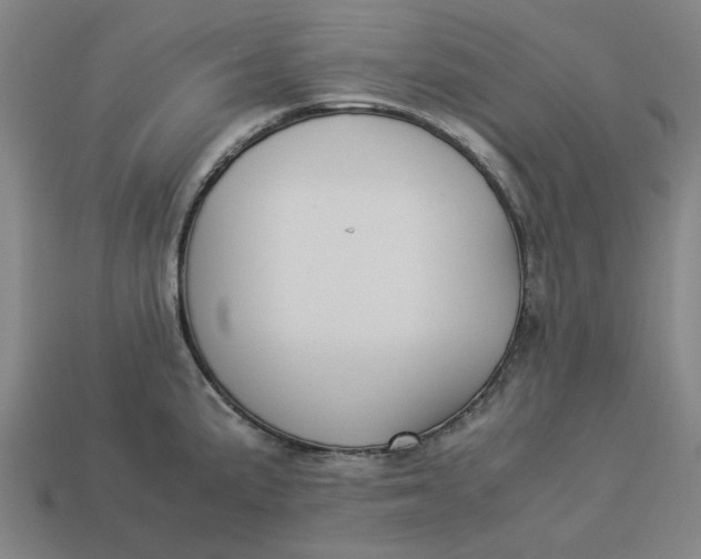 X0000113371191200910061054