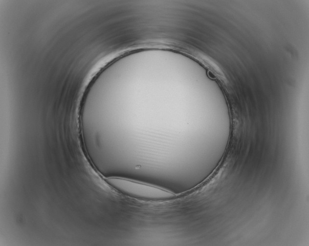 X0000113371192200910061054