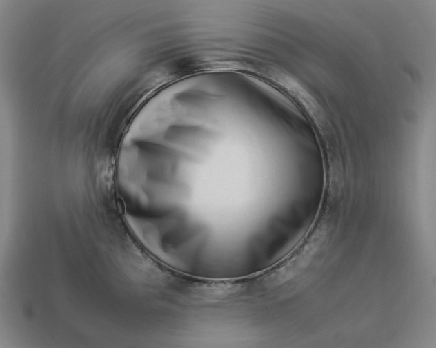 X0000113371193200910061054