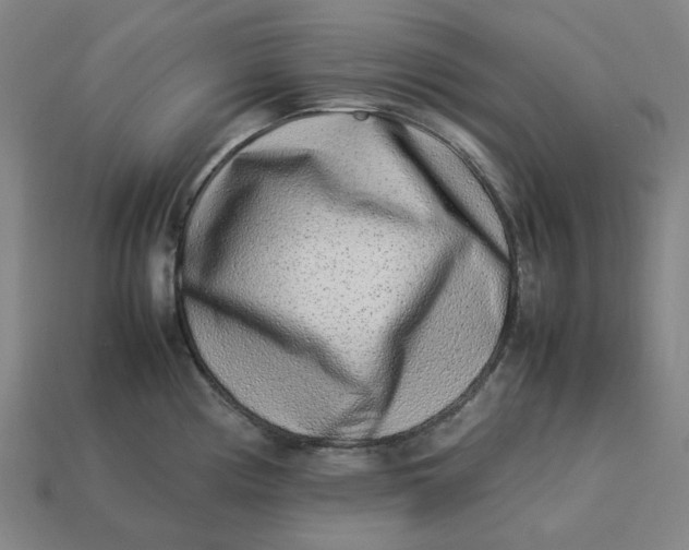 X0000113371194200910061054