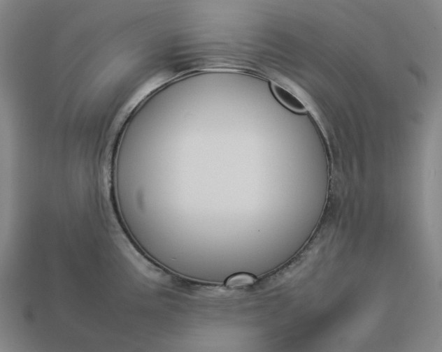 X0000113371195200910061054