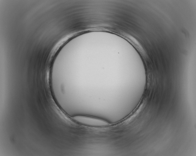 X0000113371196200910061054