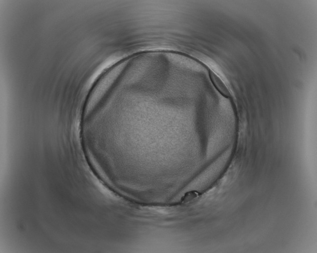 X0000113371197200910061054