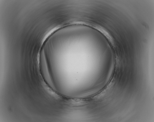 X0000113371198200910061054