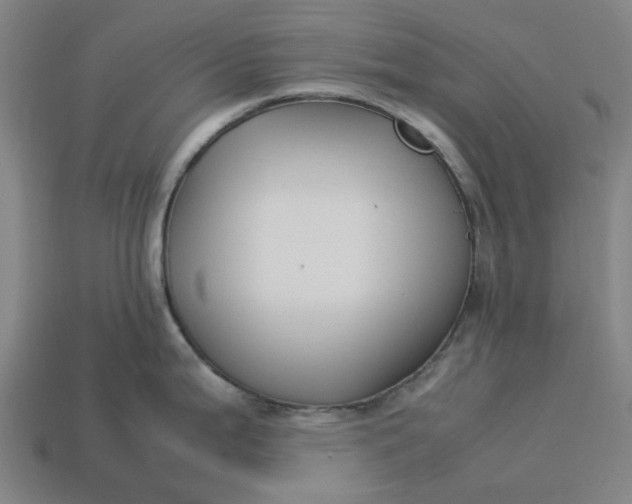 X0000113371199200910061054