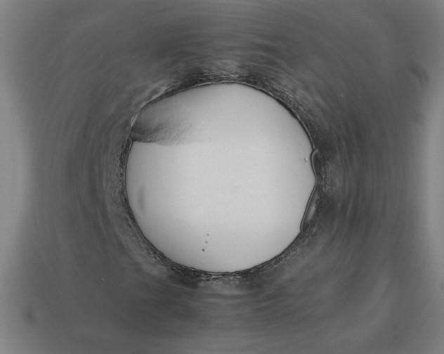 X0000113371201200910061053