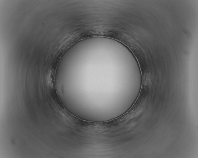 X0000113371202200910061053