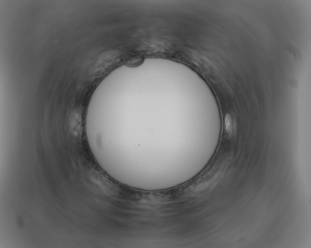 X0000113371203200910061053