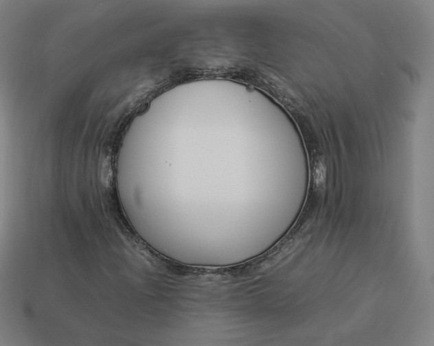 X0000113371204200910061053