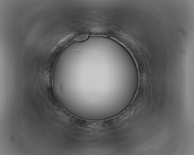 X0000113371205200910061053