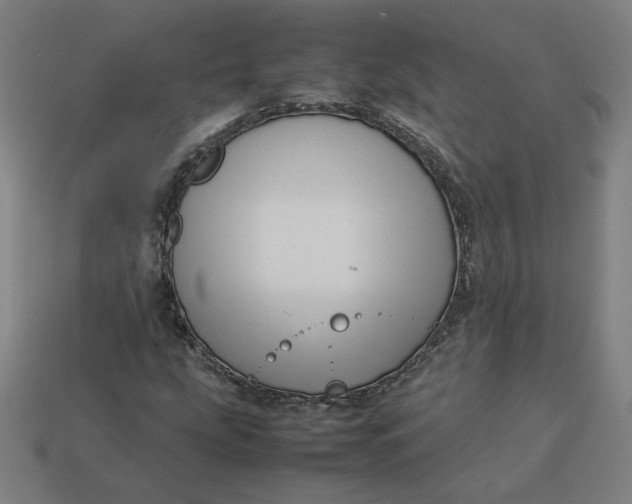 X0000113371207200910061053