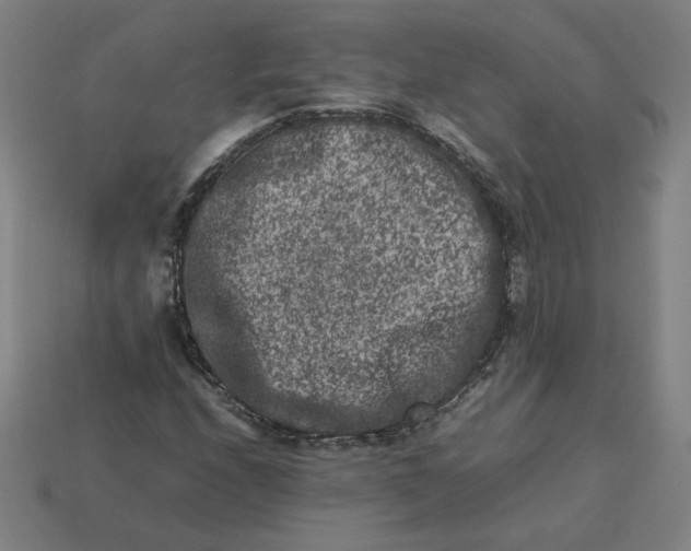 X0000113371208200910061053