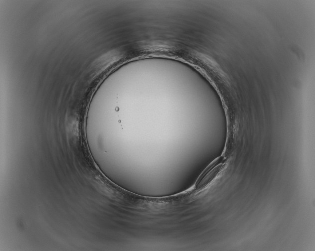 X0000113371209200910061053