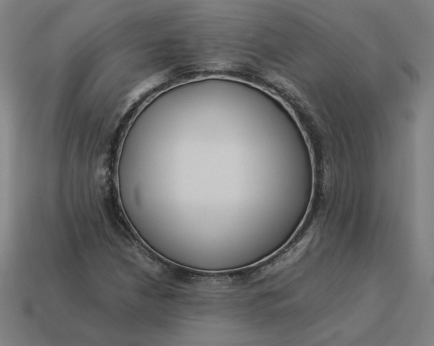 X0000113371210200910061053