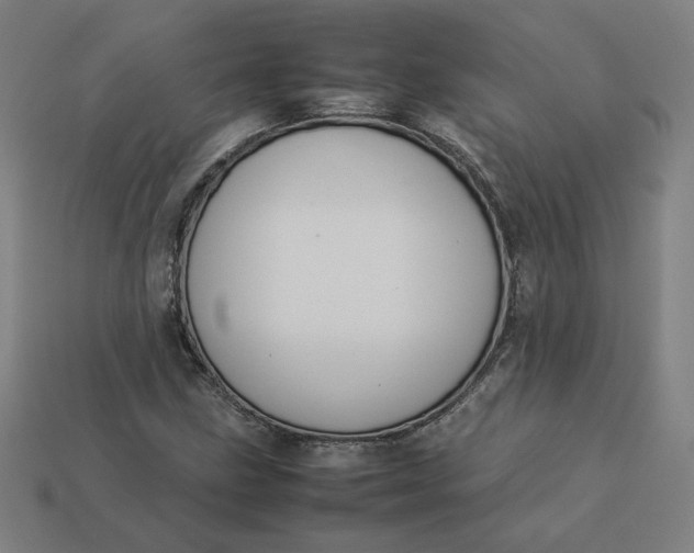 X0000113371211200910061053