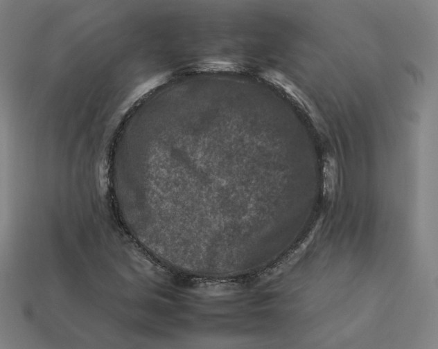 X0000113371213200910061053