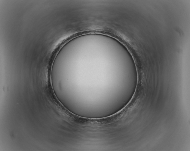 X0000113371214200910061053