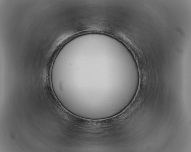 X0000113371215200910061053