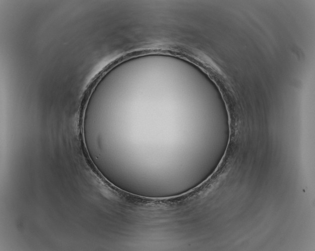 X0000113371216200910061053