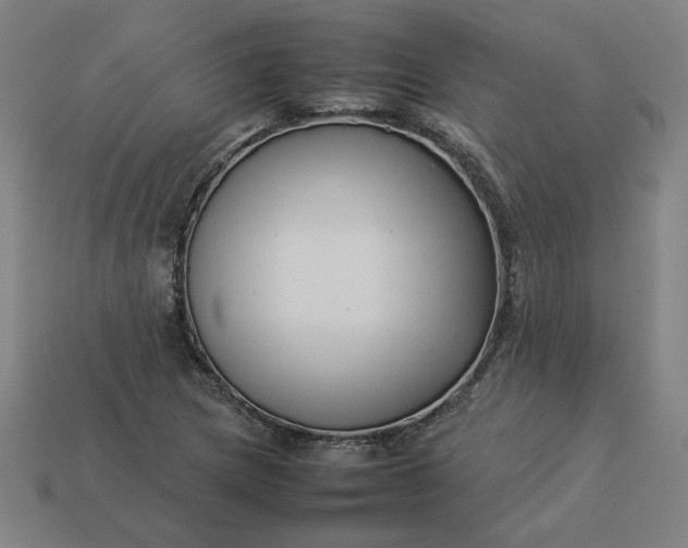 X0000113371217200910061053