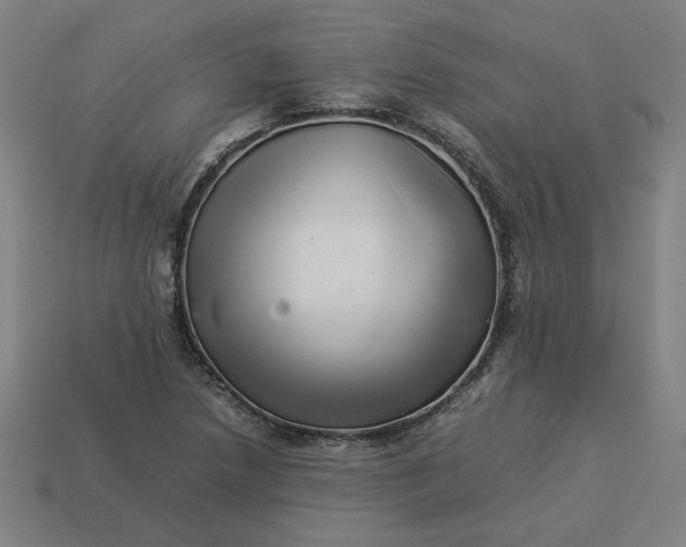 X0000113371218200910061053