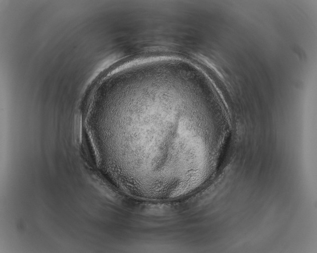 X0000113371219200910061053