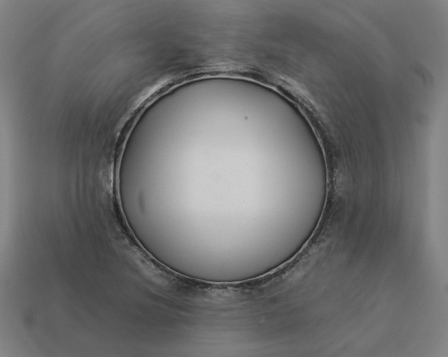 X0000113371220200910061053