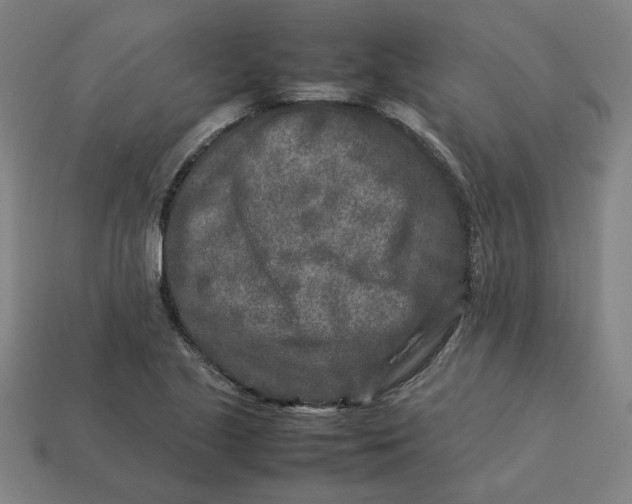 X0000113371221200910061053