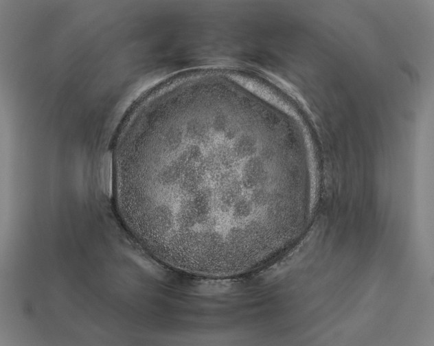 X0000113371223200910061053