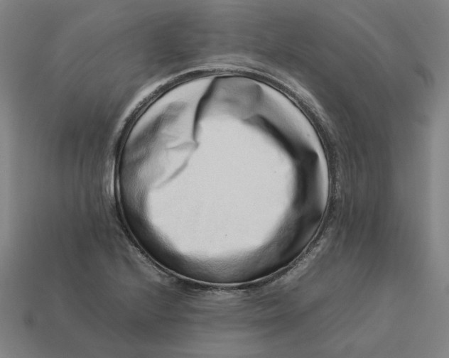 X0000113371224200910061053