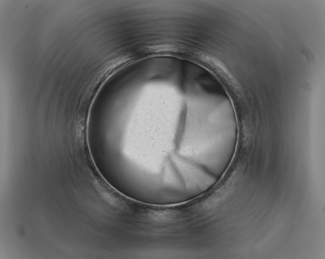 X0000113371225200910061053