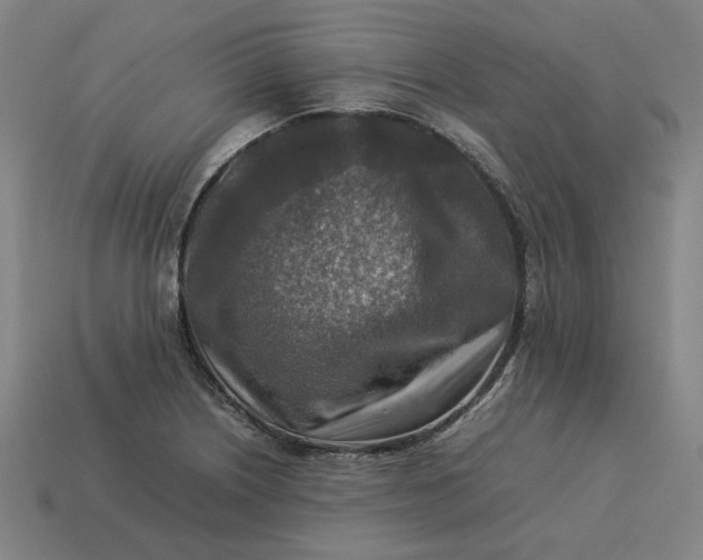 X0000113371226200910061053