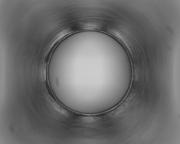 X0000113371227200910061053