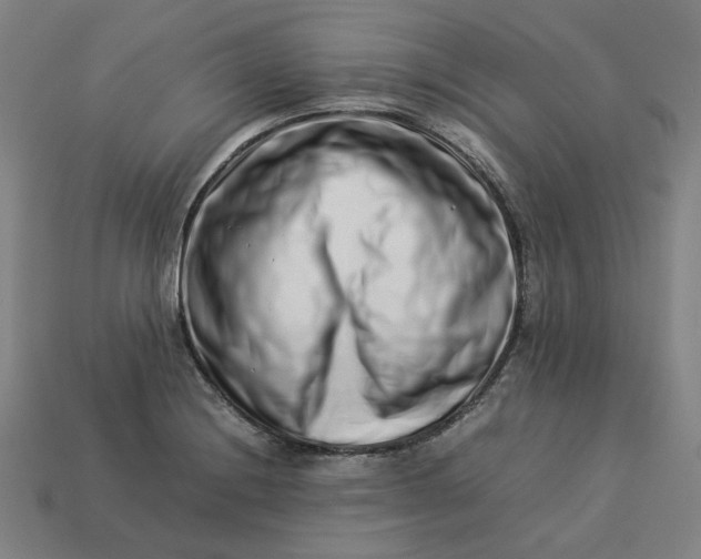 X0000113371228200910061053