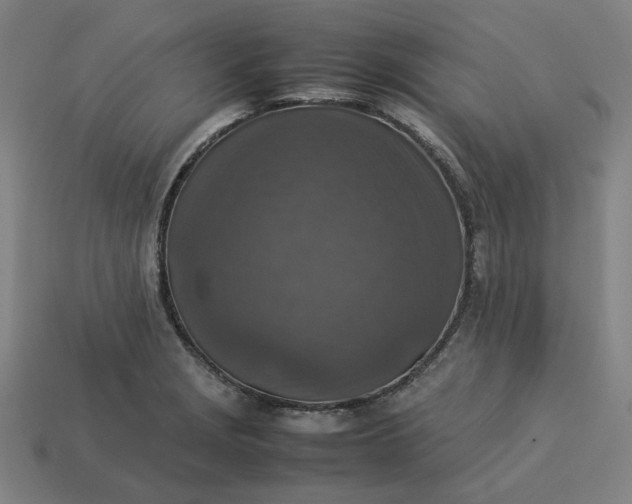 X0000113371229200910061053