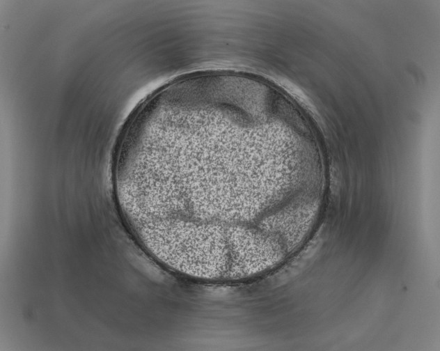 X0000113371230200910061054