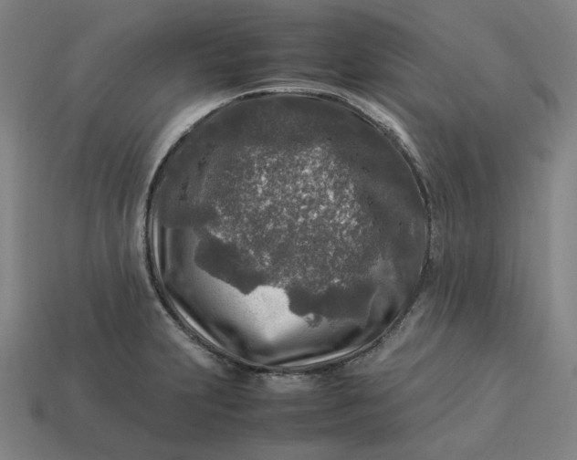 X0000113371231200910061054