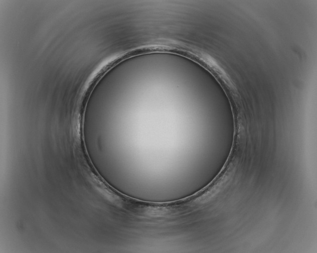 X0000113371232200910061054