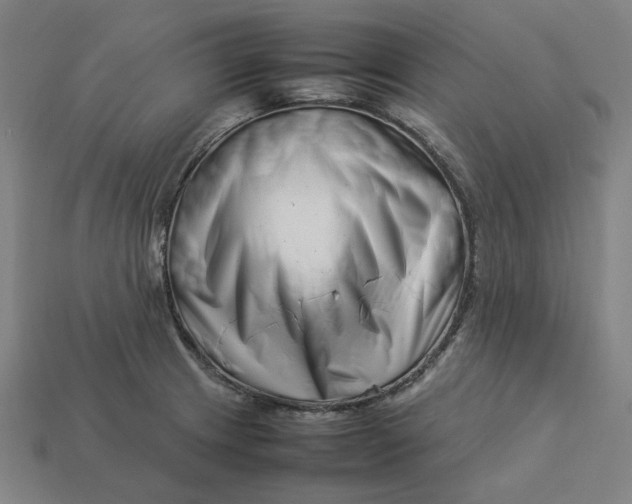 X0000113371233200910061054