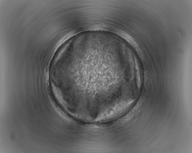 X0000113371234200910061054