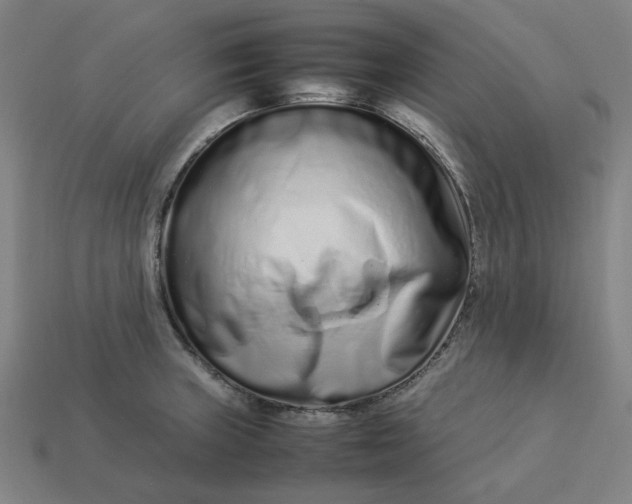 X0000113371235200910061054